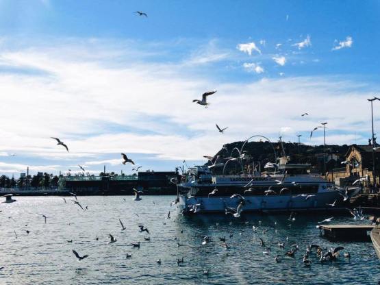 12932910_10209675379670022_4352969821454557940_n