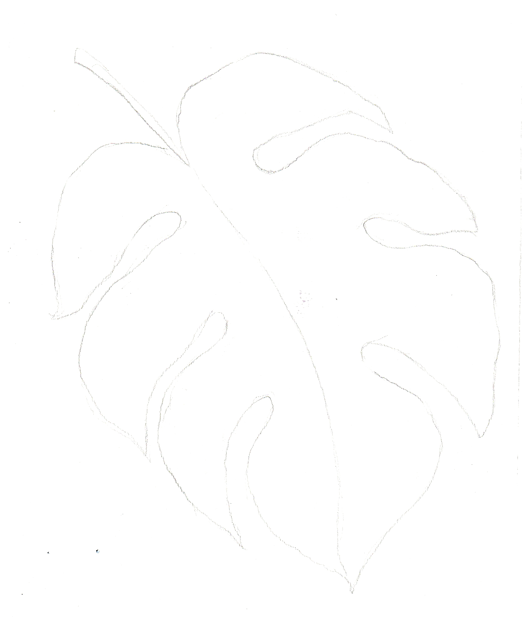 hoja proyecto crearte