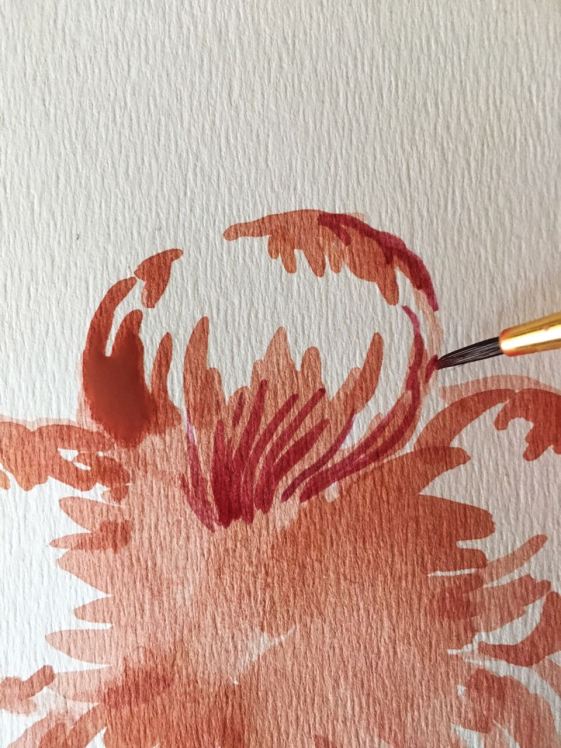 WhatsApp Image 2018-01-06 at 16.06.51 (1)