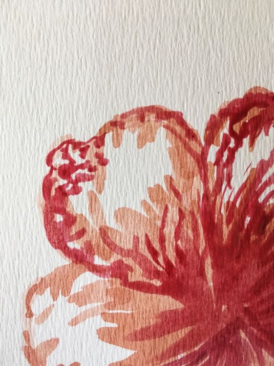 WhatsApp Image 2018-01-06 at 16.06.51