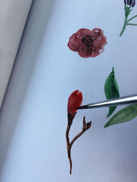 WhatsApp Image 2018-01-07 at 22.00.36 (2)