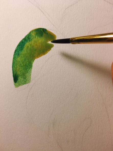 WhatsApp Image 2018-01-08 at 19.26.37 (1)