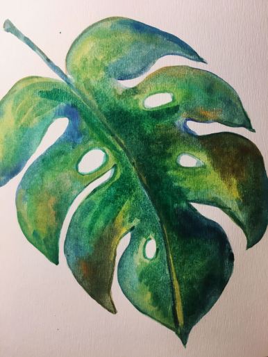 WhatsApp Image 2018-01-08 at 19.26.47 (2)