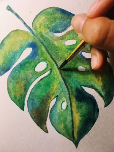 WhatsApp Image 2018-01-08 at 19.26.47