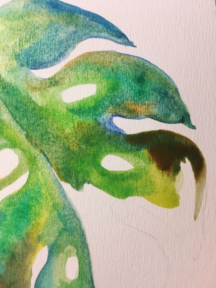 WhatsApp Image 2018-01-08 at 19.26.50 (1)