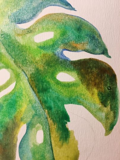 WhatsApp Image 2018-01-08 at 19.26.51