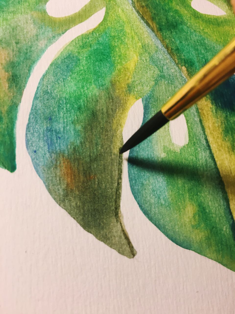 #ProyectoCreArte: Pintar una hoja tropical con&nbsp;acuarelas