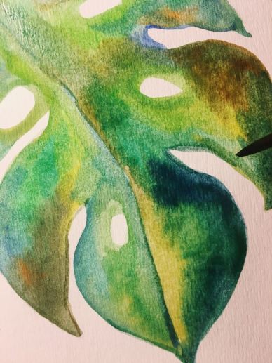 WhatsApp Image 2018-01-08 at 19.26.53